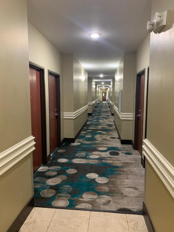 Rodeway Inn & Suites Winnfield Exteriör bild